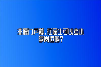 非厦门户籍，往届生可以考小学岗位吗？